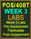 POS/408T Week 3 Pre-Assessment, Post-Assessment, Flashcards, and DQ
